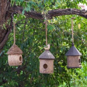 Hanging Bird House
